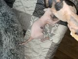 Vorschaubild 4
