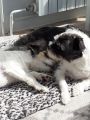 Vorschaubild 6
