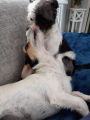 Vorschaubild 4