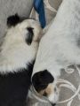 Vorschaubild 5