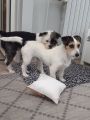 Vorschaubild 3