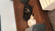 Vorschaubild 5
