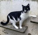 Vorschaubild 1