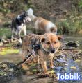 Vorschaubild 6