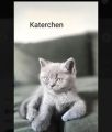 Vorschaubild 4