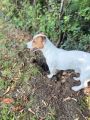 Vorschaubild 4