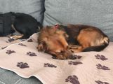 Vorschaubild 4