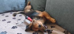 Vorschaubild 8
