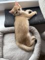 Vorschaubild 7