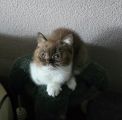 Vorschaubild 3