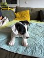 Vorschaubild 2