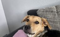 Vorschaubild 3