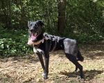 Vorschaubild 6
