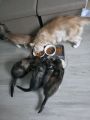 Vorschaubild 9