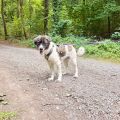 Vorschaubild 6