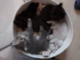 Vorschaubild 7