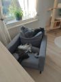 Vorschaubild 5