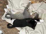 Vorschaubild 4