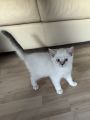 Vorschaubild 6