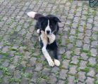 Vorschaubild 3