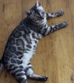 Vorschaubild 9