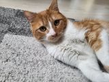Vorschaubild 5