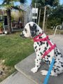 Vorschaubild 1