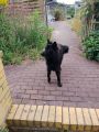Vorschaubild 1