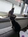 Vorschaubild 6