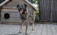 Vorschaubild 6