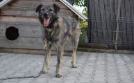 Vorschaubild 3