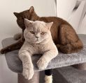 Vorschaubild 3