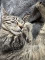 Vorschaubild 6