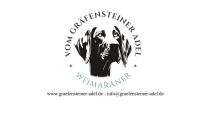 Vorschaubild 9