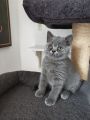 Vorschaubild 5
