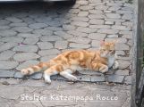 Vorschaubild 9