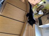 Vorschaubild 6