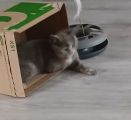 Vorschaubild 7