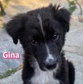 Vorschaubild 6