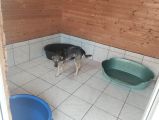 Vorschaubild 8