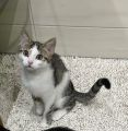Vorschaubild 2