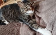 Vorschaubild 1