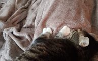 Vorschaubild 2