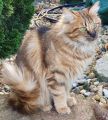 Vorschaubild 3