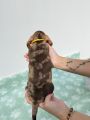 Vorschaubild 5