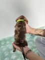 Vorschaubild 9