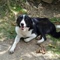 Vorschaubild 5