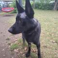 Vorschaubild 6
