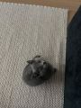 Vorschaubild 3