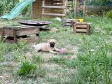 Vorschaubild 3